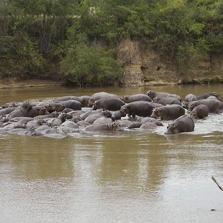 Ngerende Island Lodge (Adults Only) Maasai Mara Eksteriør billede